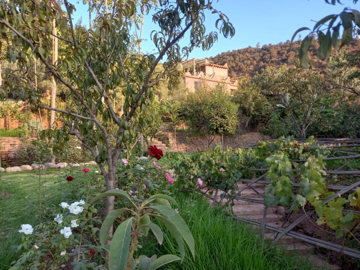 ホテル Ourika Timalizene Le Jardin Des Delices Tamezindert エクステリア 写真